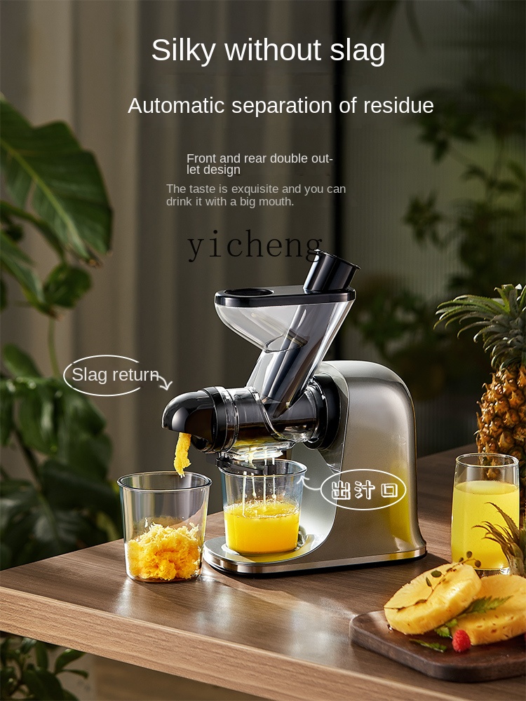 cc28 低速ジューサー ジュースと残渣の分離 家庭用果物と - Juicer のレビューと価格