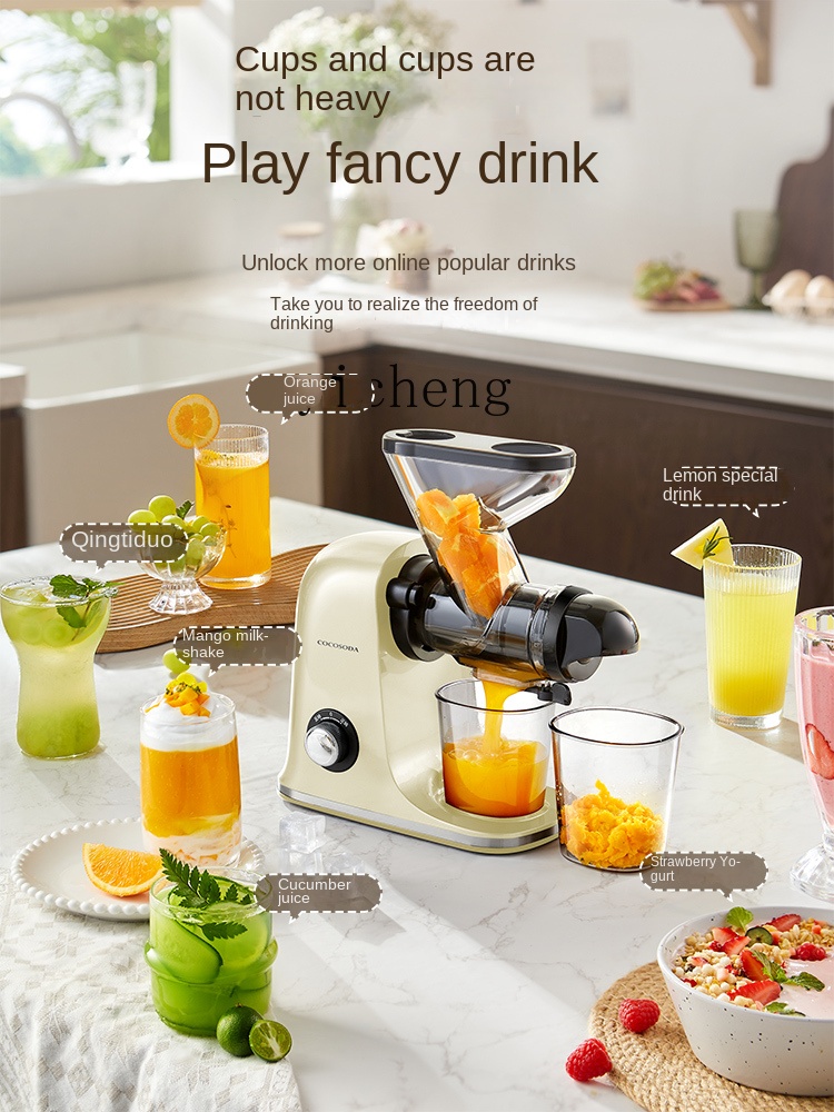 cc28 低速ジューサー ジュースと残渣の分離 家庭用果物と - Juicer のレビューと価格