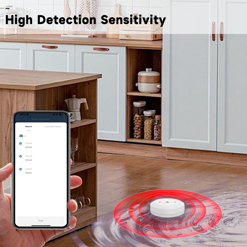 Tuya ZigBee スマート水漏れセンサー 洪水漏れセン - Kitchen Appliances Video のレビューと価格