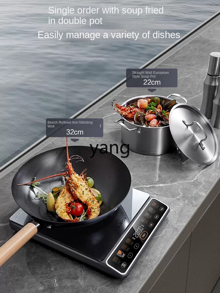 LMMハイパワー2200W家庭用IH調理器炒め物用インテリジ - Induction Cooker のレビューと価格